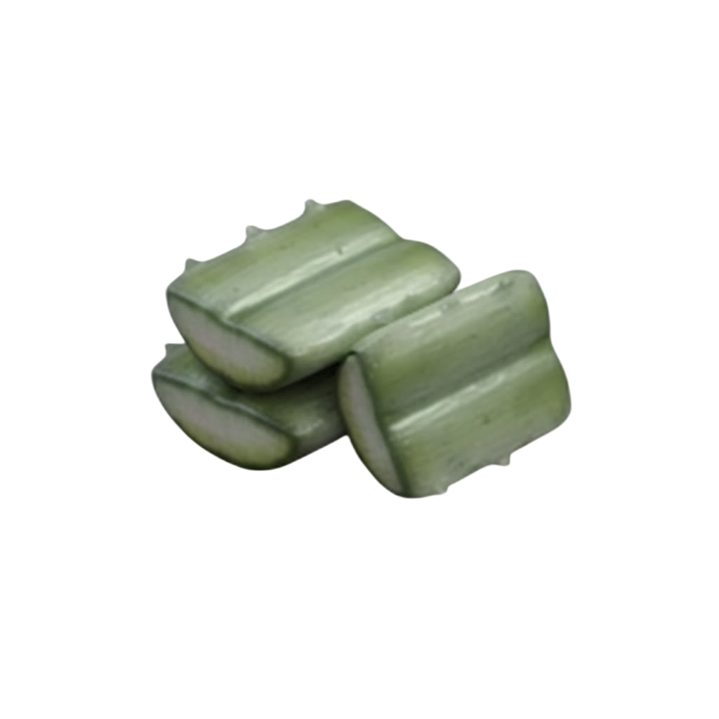 Agave