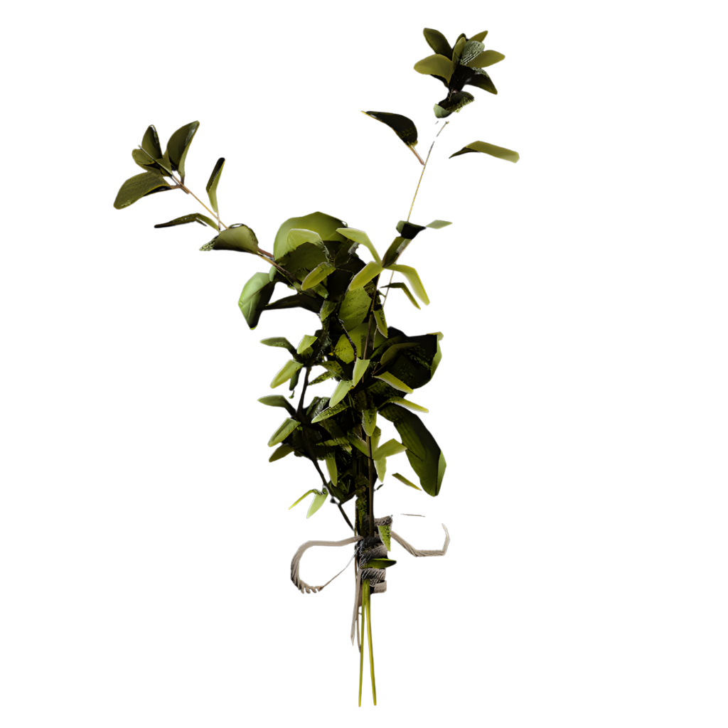 Great Mullein